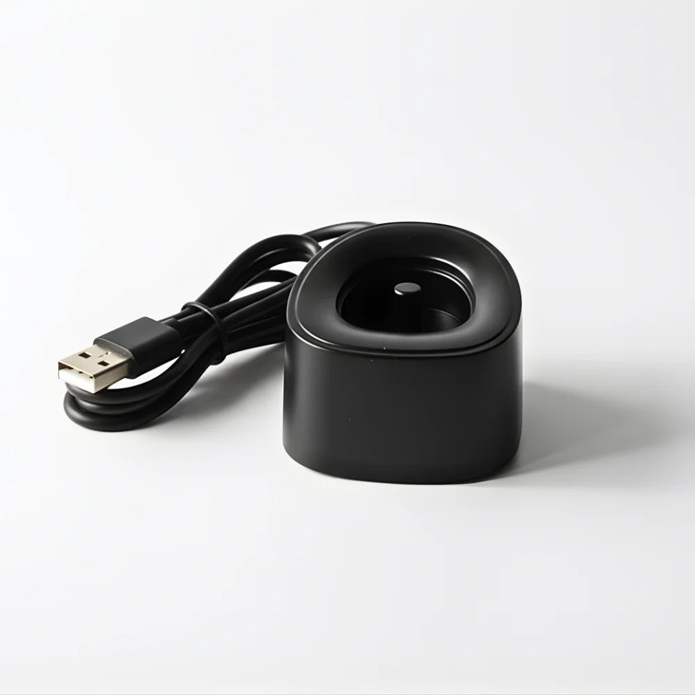 S100 Charger