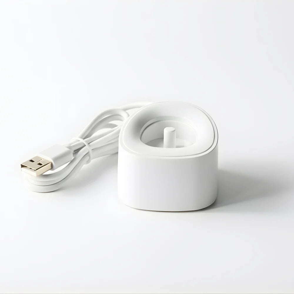 S100 Charger