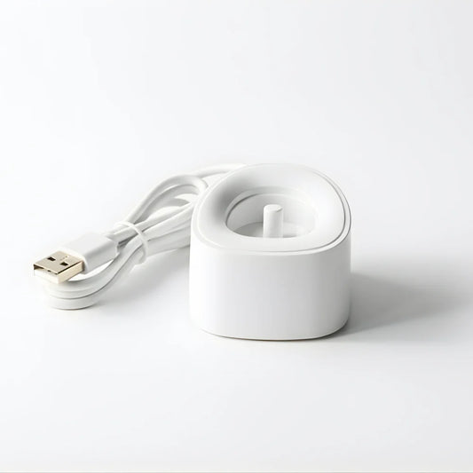 S100 Charger